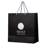 ساک‌دستی مشکی Trust Professional